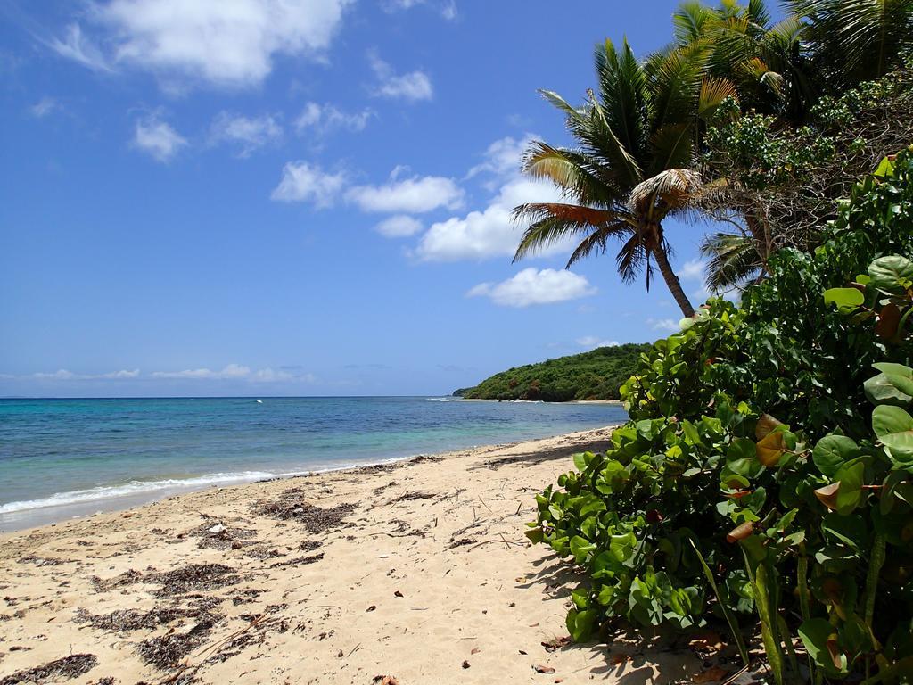 Ababor Suites Guesthouse Vieques Ngoại thất bức ảnh