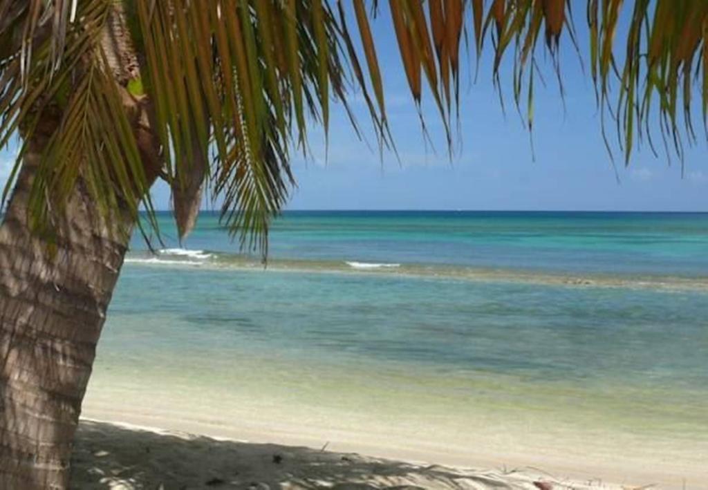 Ababor Suites Guesthouse Vieques Ngoại thất bức ảnh