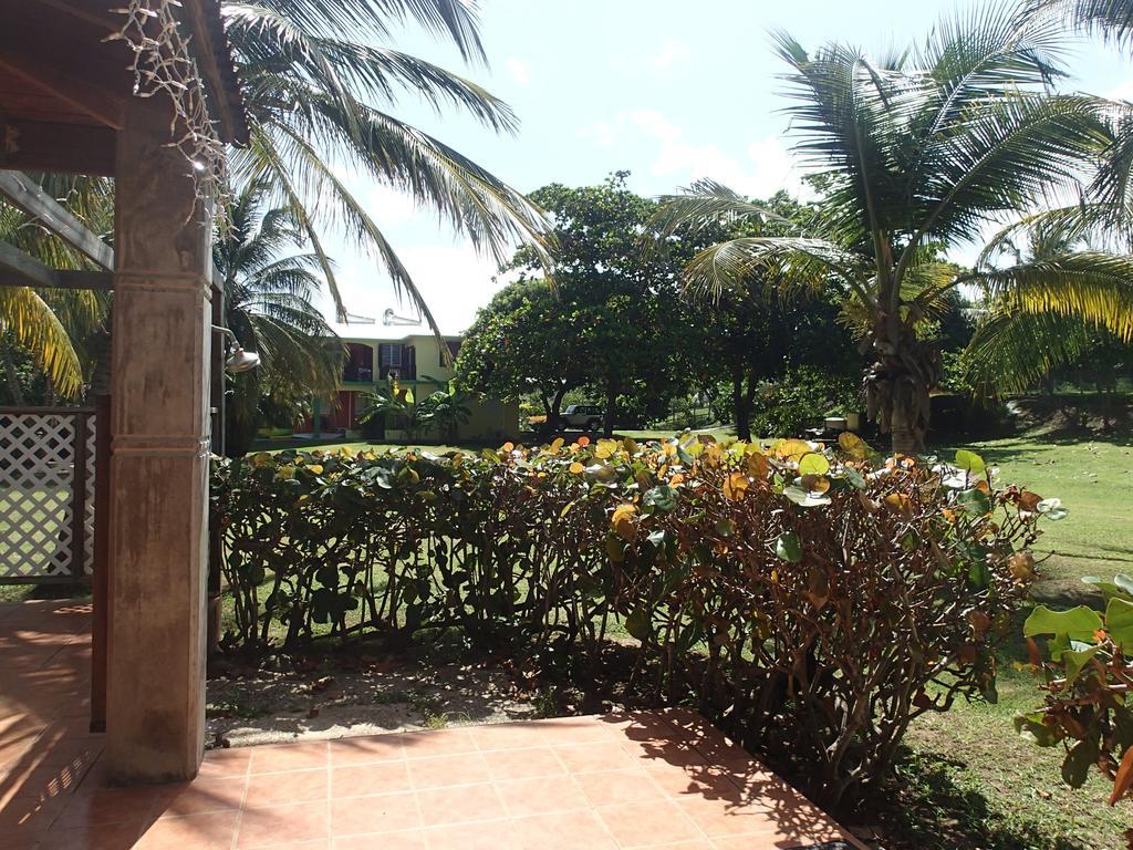 Ababor Suites Guesthouse Vieques Ngoại thất bức ảnh