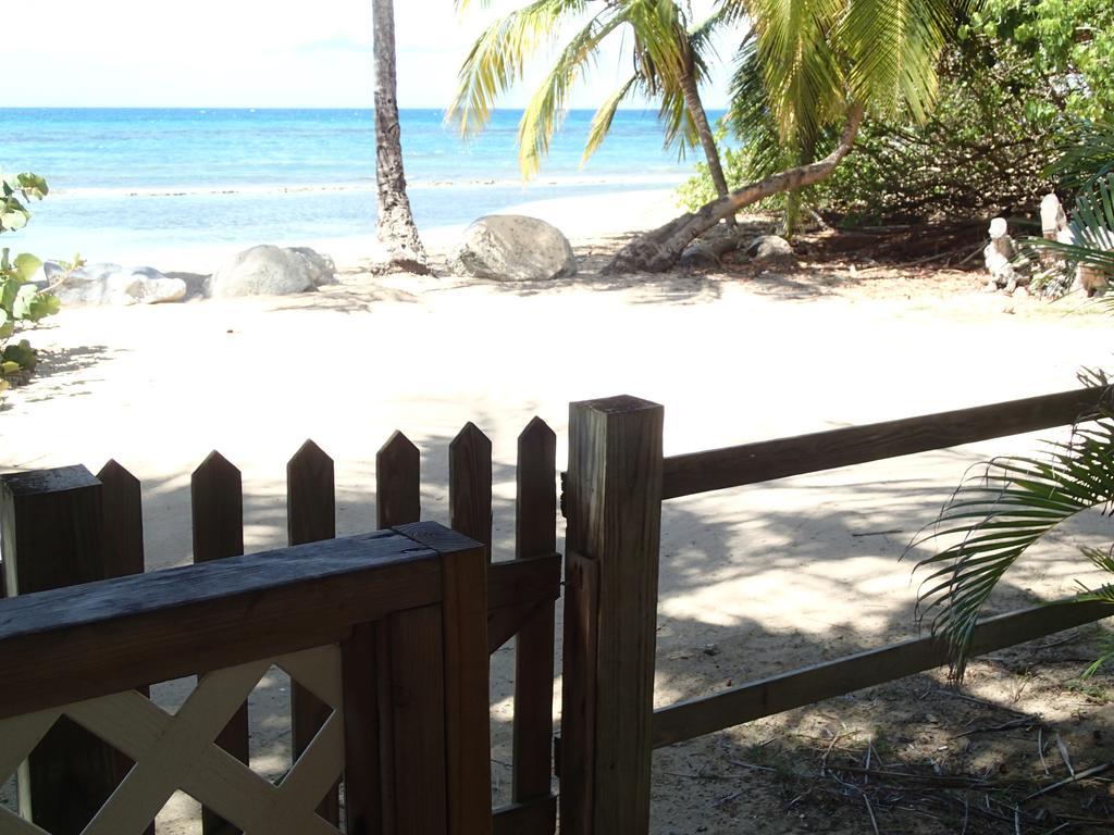 Ababor Suites Guesthouse Vieques Ngoại thất bức ảnh
