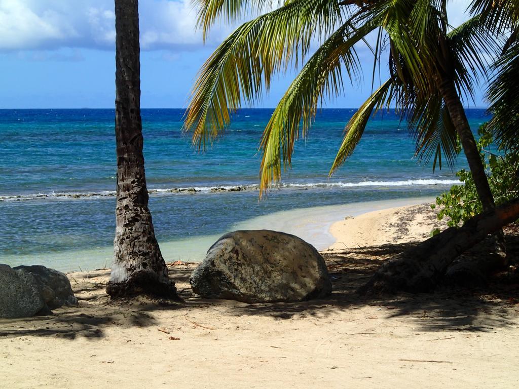 Ababor Suites Guesthouse Vieques Ngoại thất bức ảnh