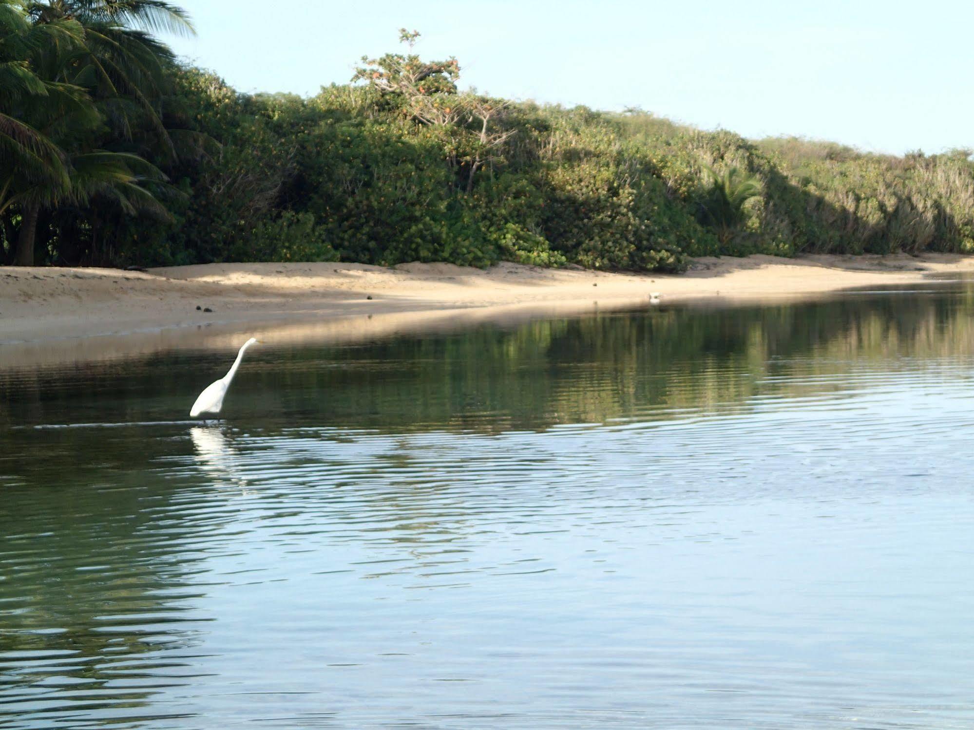 Ababor Suites Guesthouse Vieques Ngoại thất bức ảnh