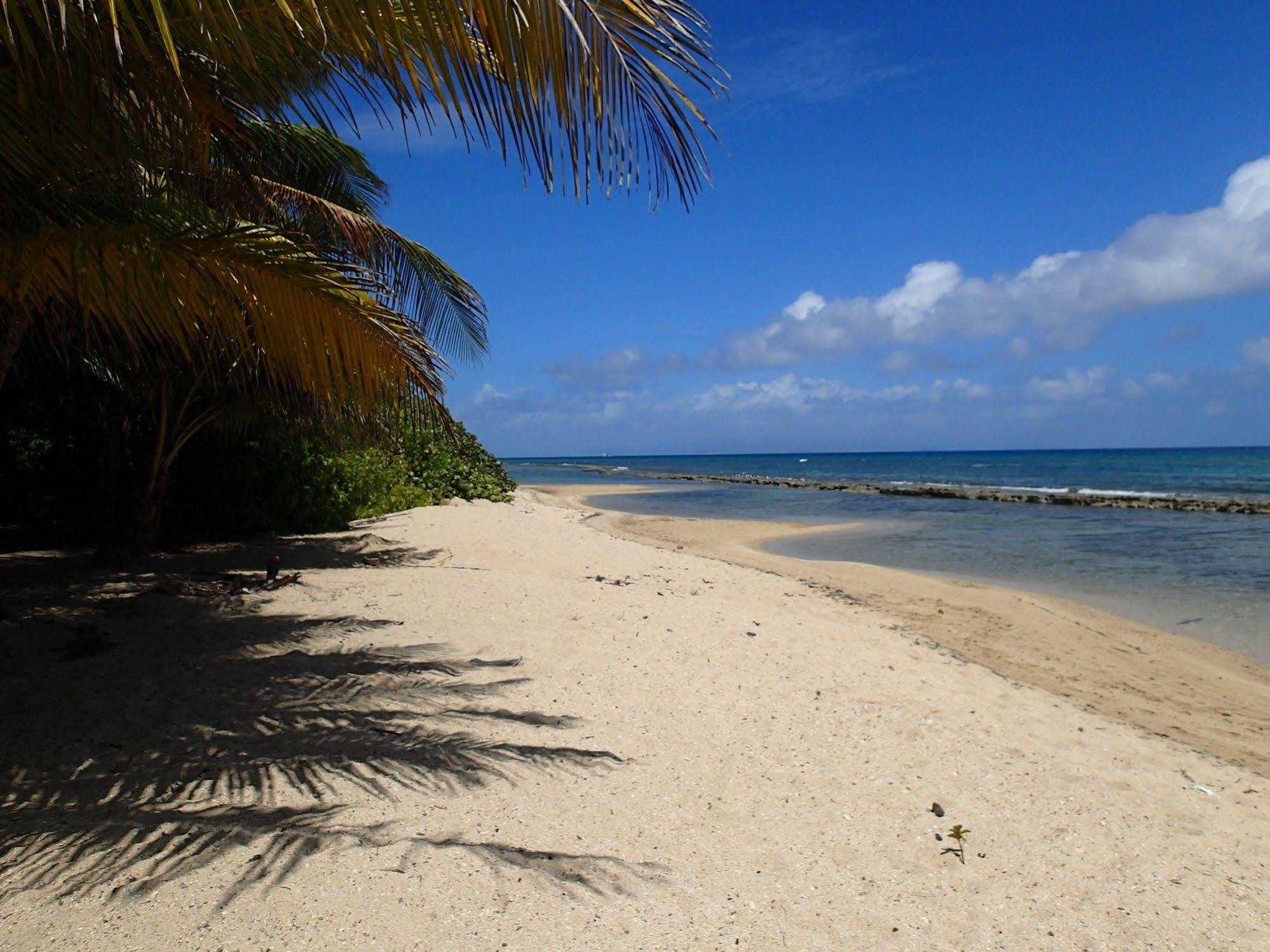 Ababor Suites Guesthouse Vieques Ngoại thất bức ảnh
