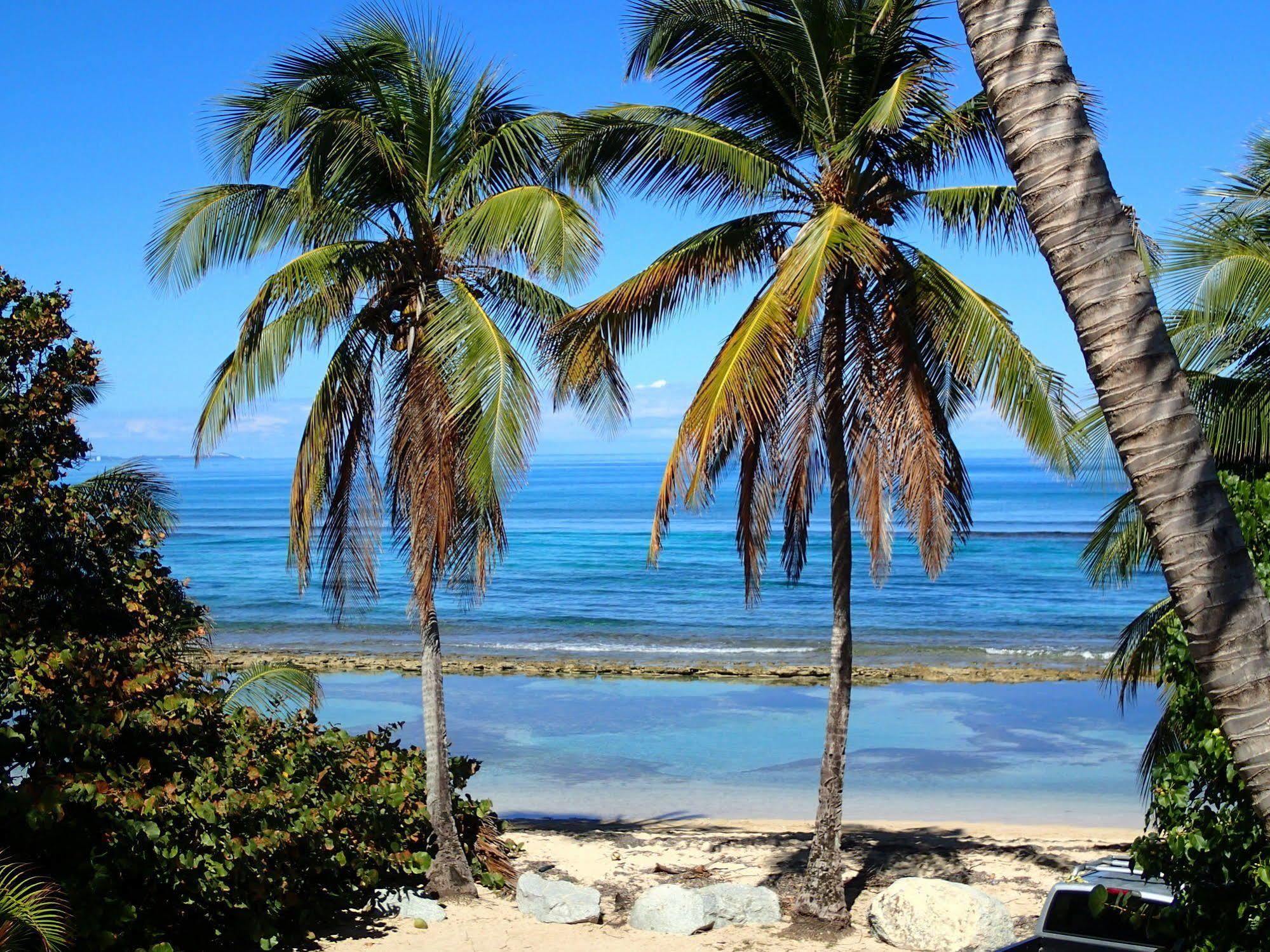 Ababor Suites Guesthouse Vieques Ngoại thất bức ảnh